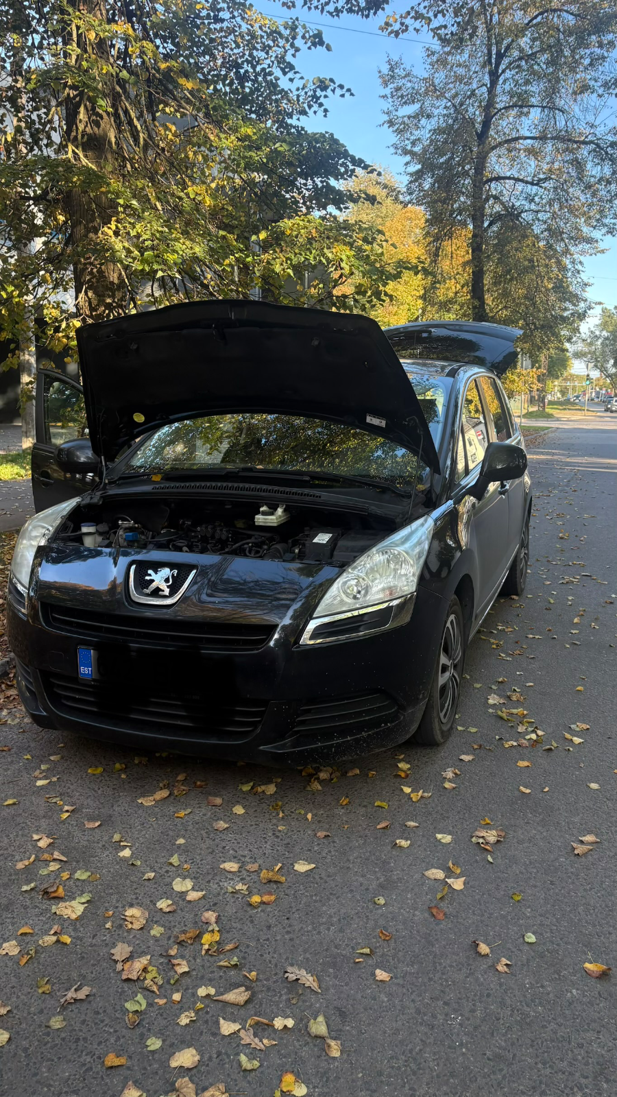 Peugeot 5008 2011 — saplīsusi dzesēšanas šķidruma caurule